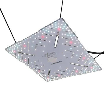LED BloomStar FluxShield Babo 450C 160W